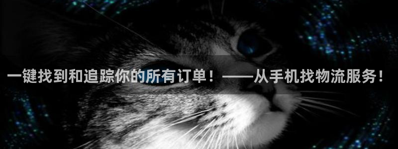 tptp下载安装正板：一键找到和追踪你的所有订单！——从手机