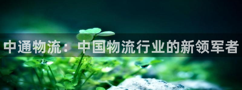 tp钱包金额不变：中通物流：中国物流行业的新领军者
